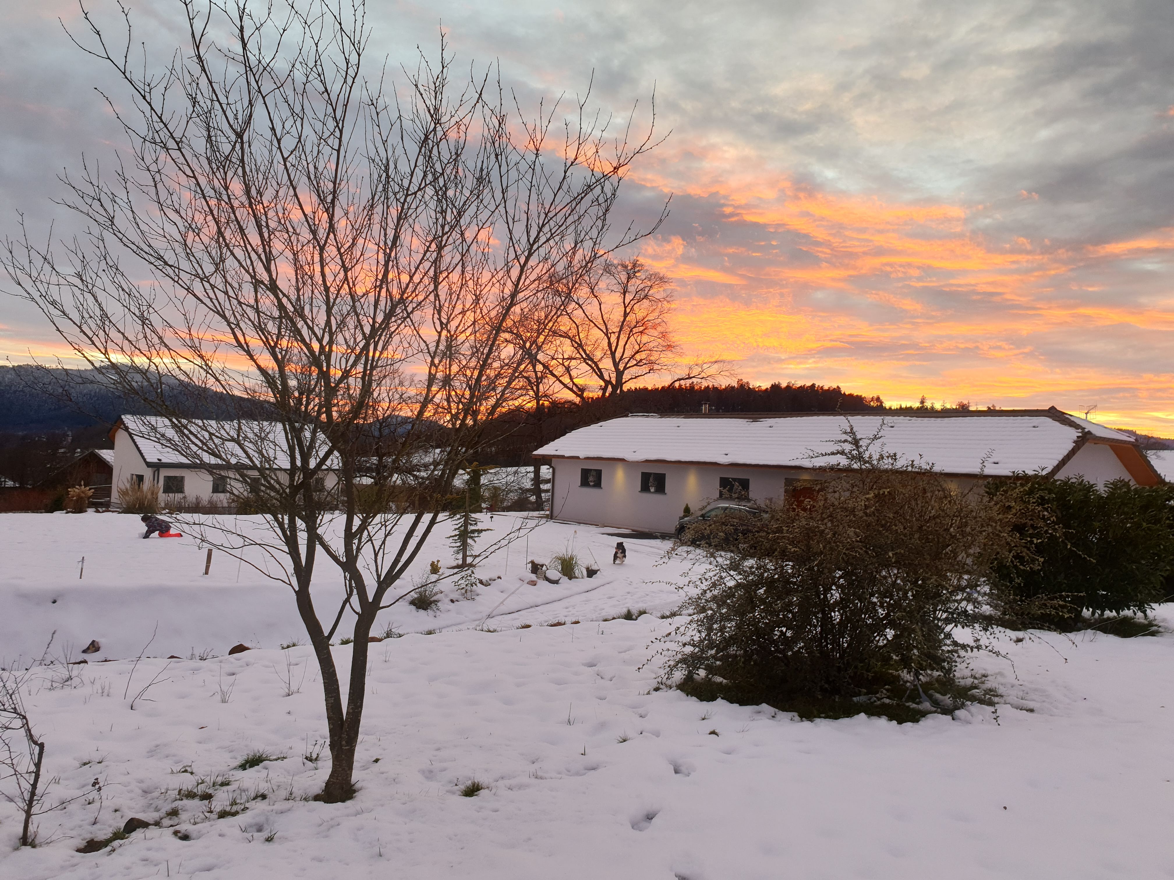 maison  l hiver.jpg_679bbe73cedd8.jpeg